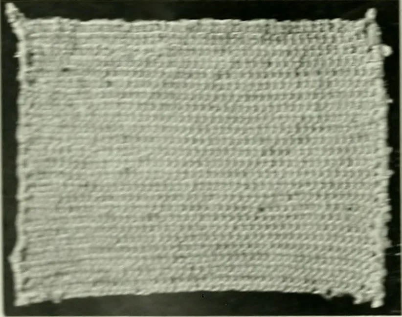 An illustration from Album de dentelle de Venise, 1900, leaf 29