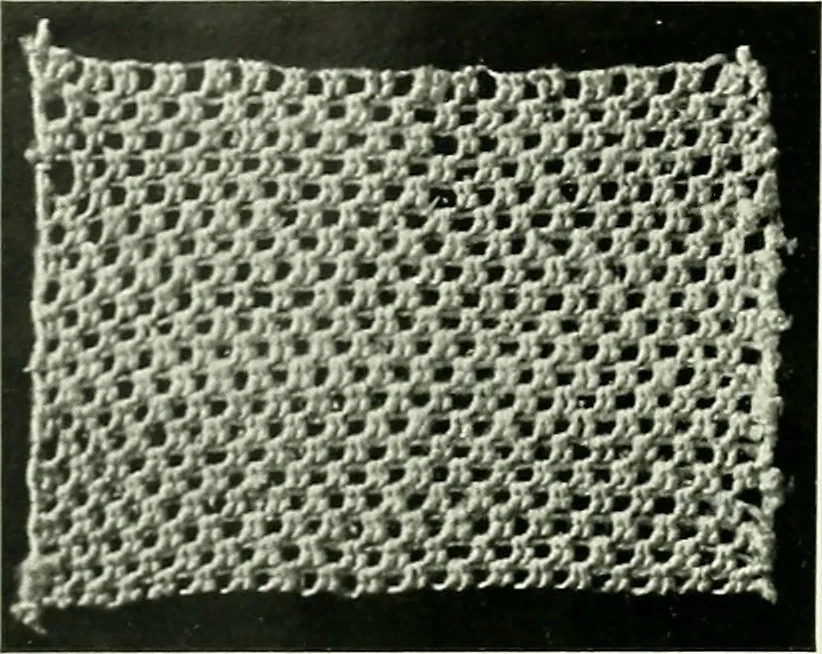An illustration from Album de dentelle de Venise, 1900, leaf 31