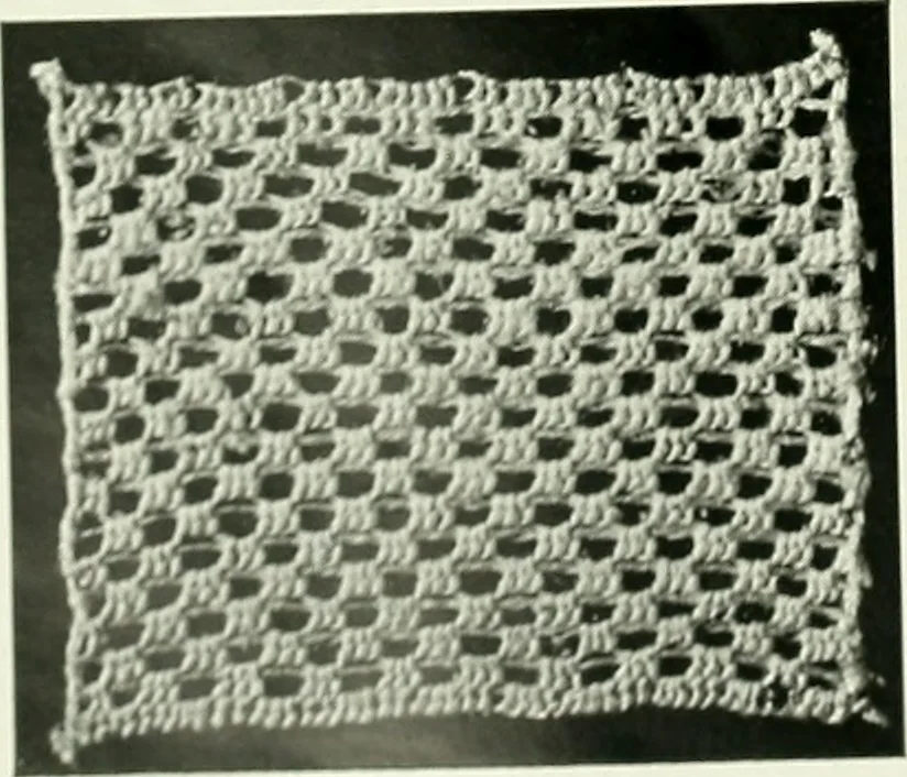 An illustration from Album de dentelle de Venise, 1900, leaf 31