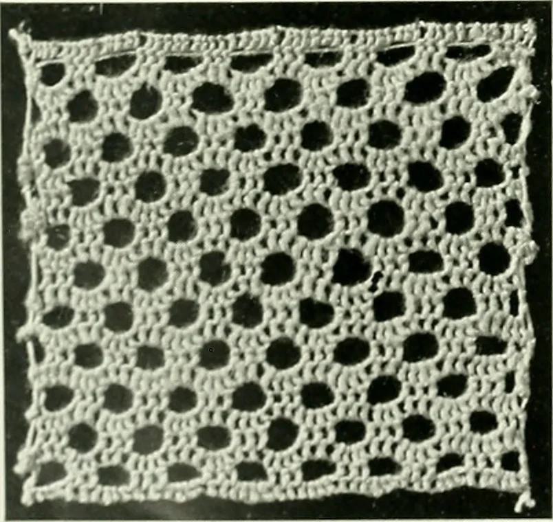 An illustration from Album de dentelle de Venise, 1900, leaf 33
