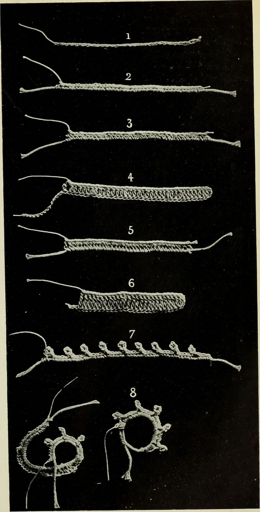 An illustration from Album de guipure d'Irlande, 1900, leaf 10
