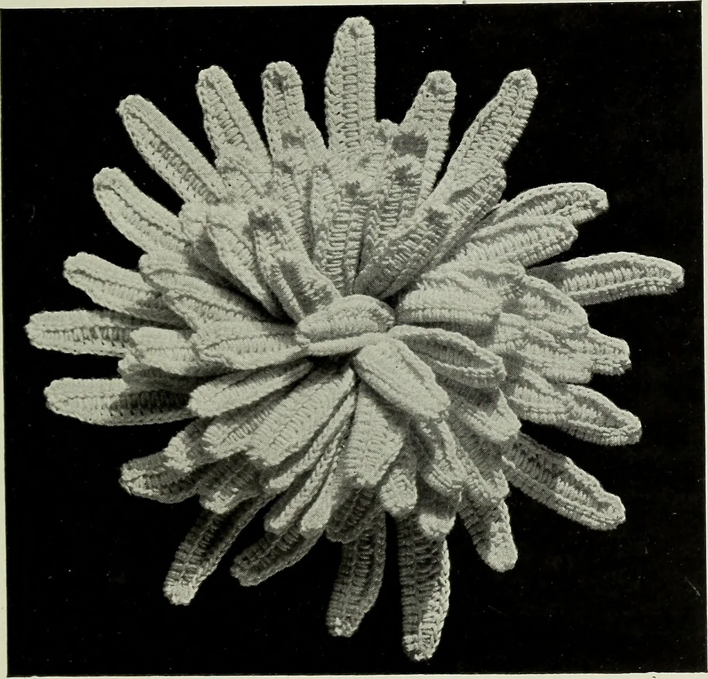 An illustration from Album de guipure d'Irlande, 1900, leaf 112