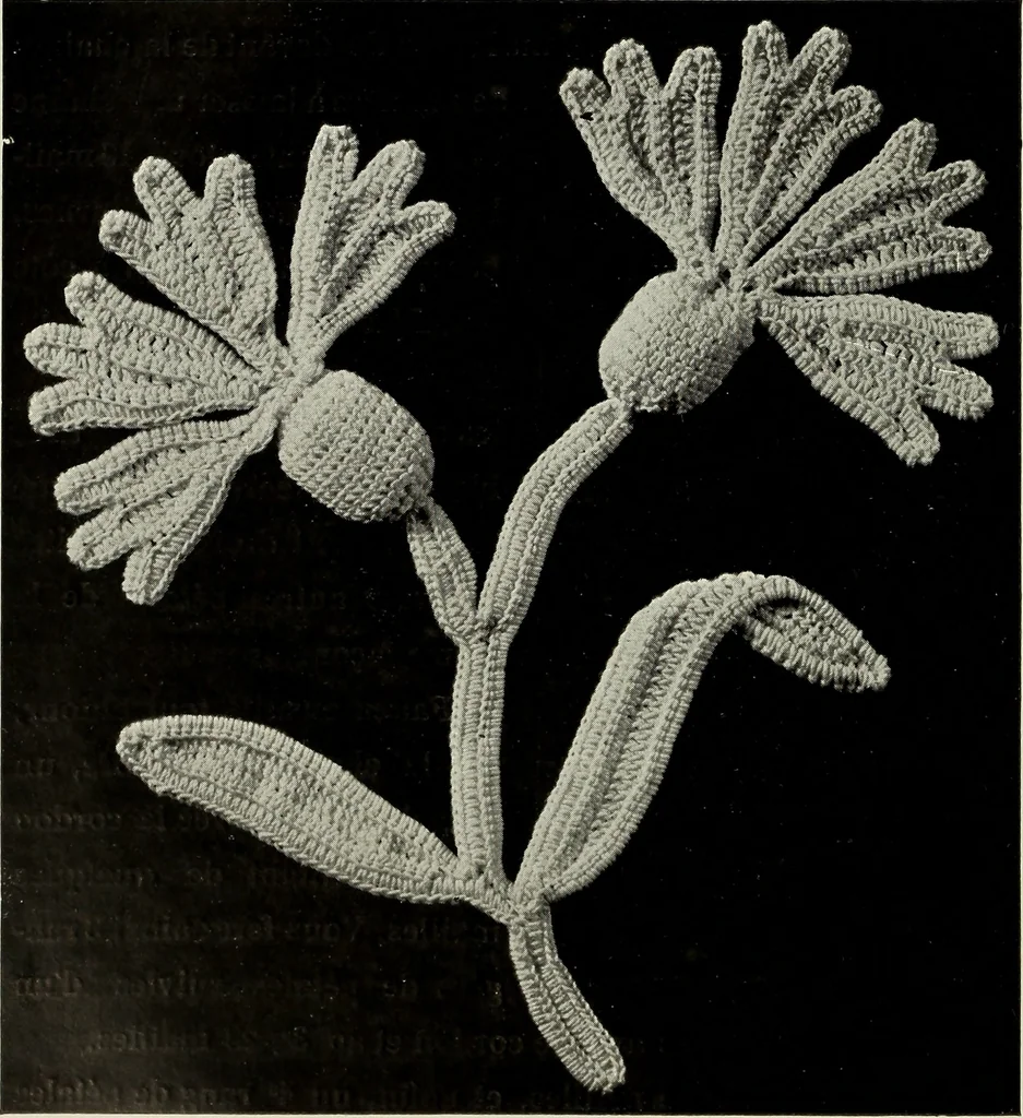 An illustration from Album de guipure d'Irlande, 1900, leaf 113