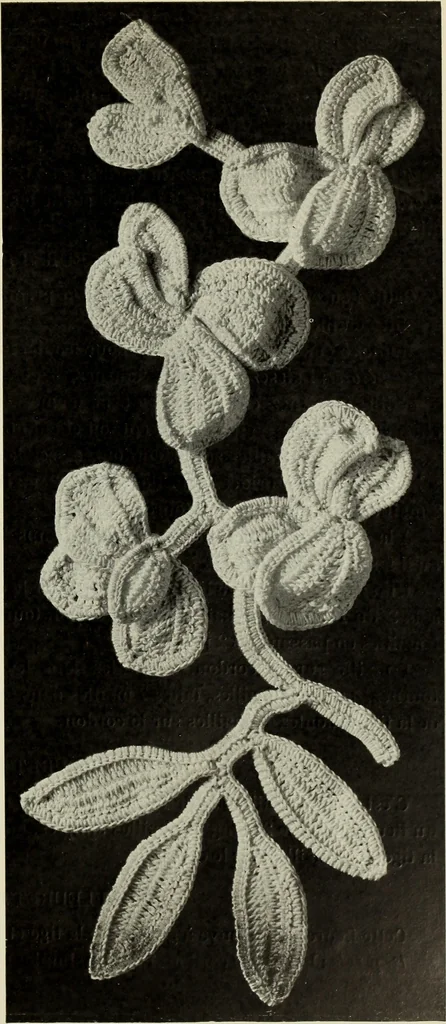 An illustration from Album de guipure d'Irlande, 1900, leaf 156