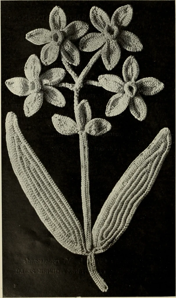 An illustration from Album de guipure d'Irlande, 1900, leaf 163