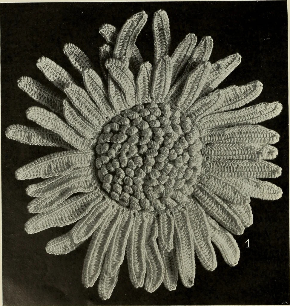 An illustration from Album de guipure d'Irlande, 1900, leaf 167