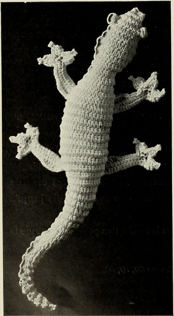 An illustration from Album de guipure d'Irlande, 1900, leaf 173