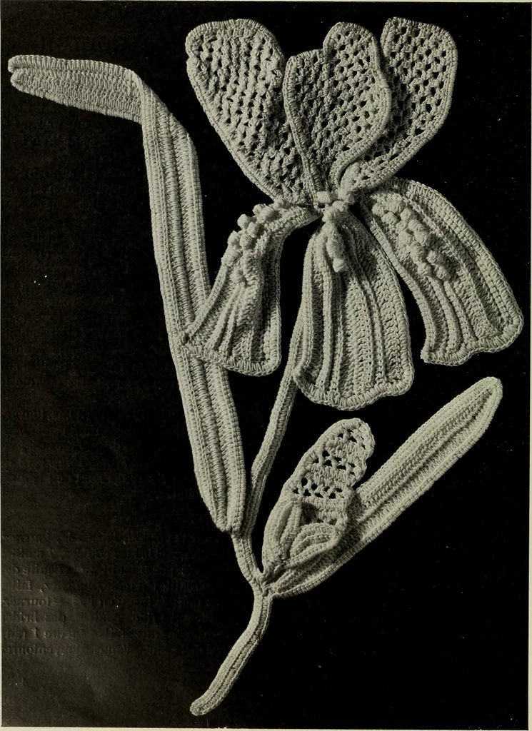 An illustration from Album de guipure d'Irlande, 1900, leaf 179