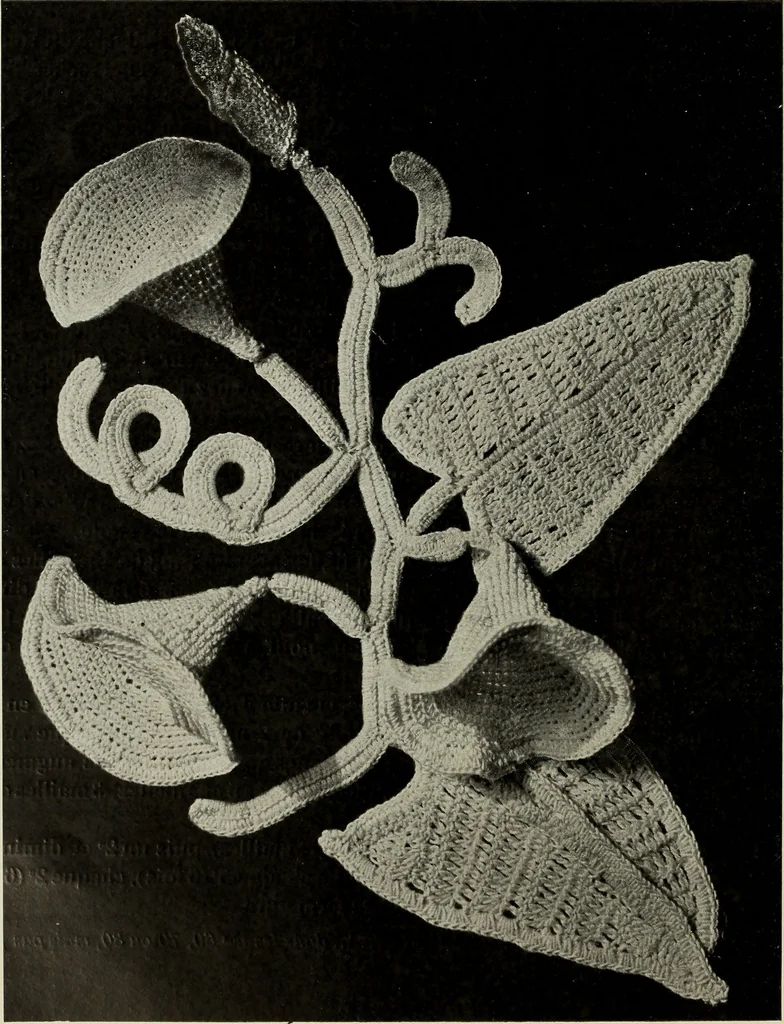 An illustration from Album de guipure d'Irlande, 1900, leaf 183