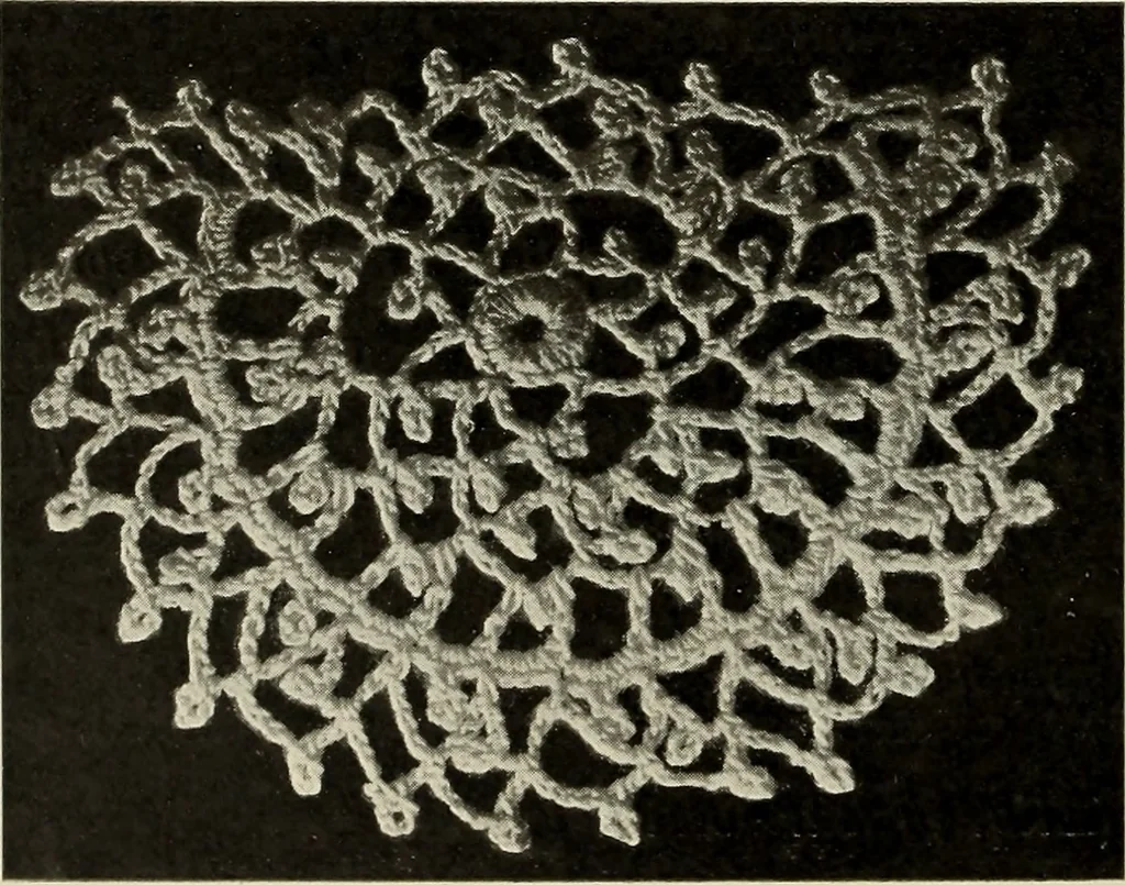 An illustration from Album de guipure d'Irlande, 1900, leaf 205