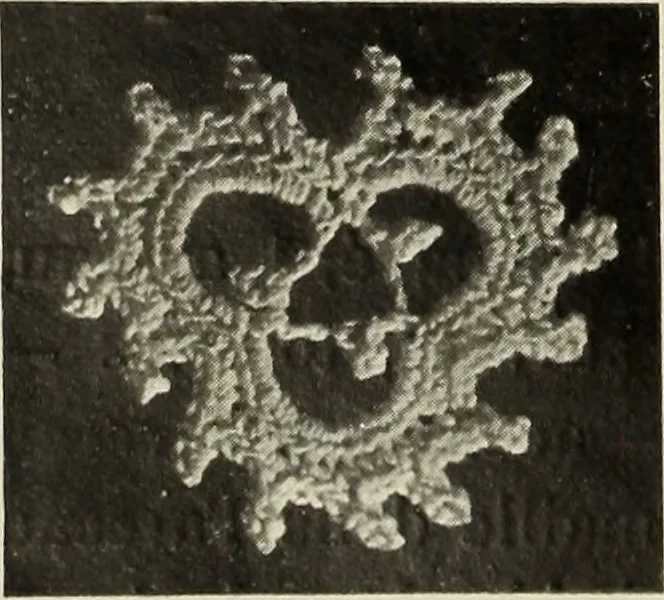 An illustration from Album de guipure d'Irlande, 1900, leaf 243