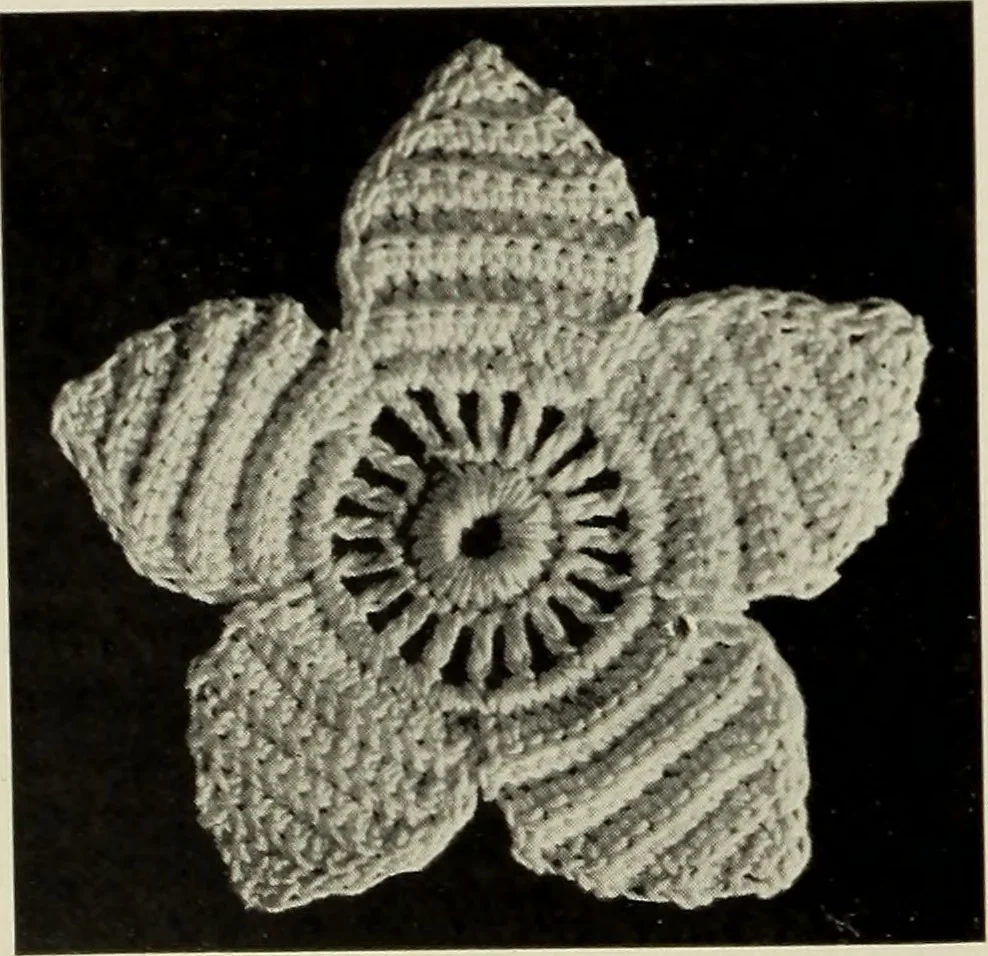 An illustration from Album de guipure d'Irlande, 1900, leaf 255
