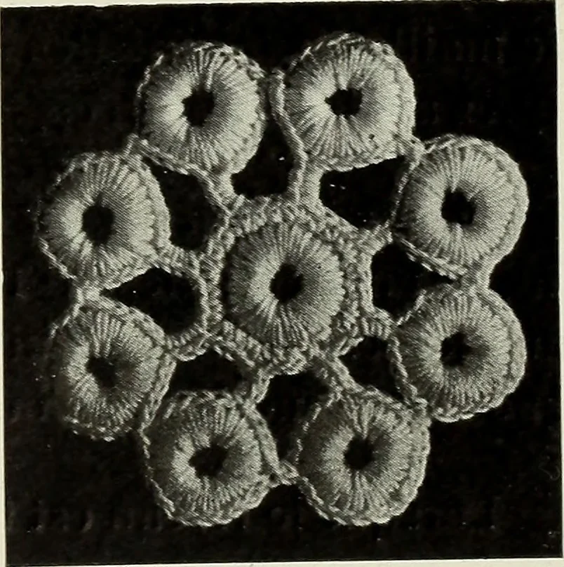 An illustration from Album de guipure d'Irlande, 1900, leaf 258