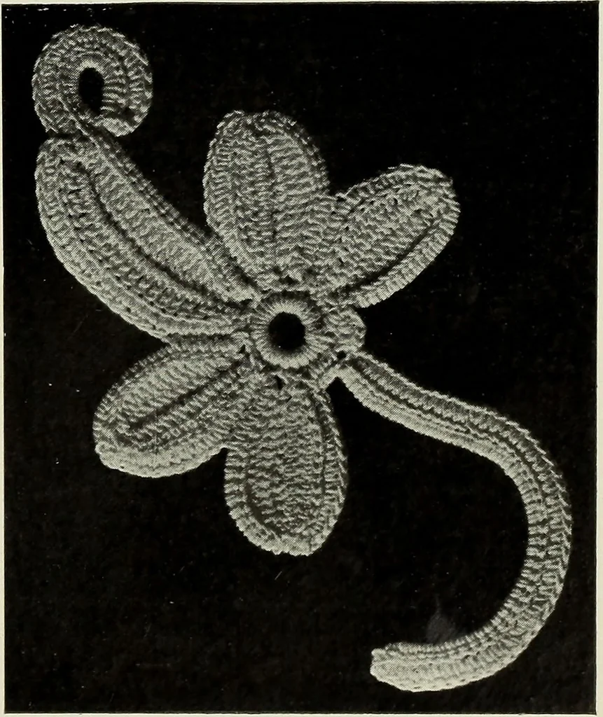 An illustration from Album de guipure d'Irlande, 1900, leaf 262