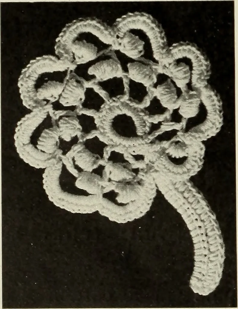 An illustration from Album de guipure d'Irlande, 1900, leaf 267