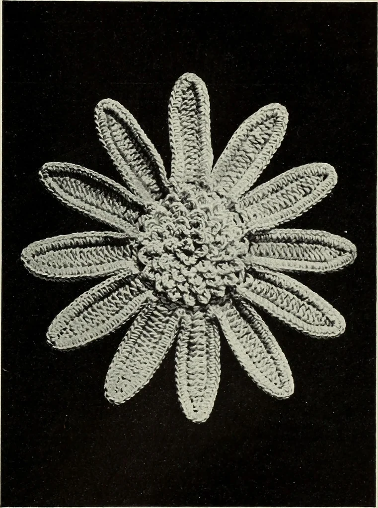 An illustration from Album de guipure d'Irlande, 1900, leaf 46