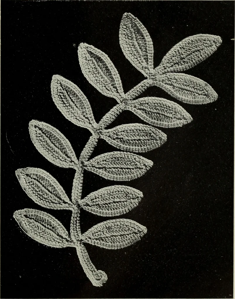 An illustration from Album de guipure d'Irlande, 1900, leaf 48