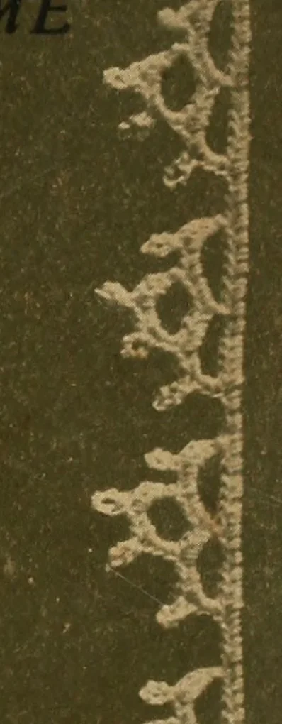 An illustration from Album de guipure d'Irlande, 1900, leaf 6