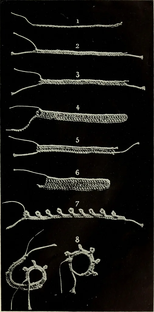 An illustration from Album de guipure d'Irlande, 1900, leaf 60