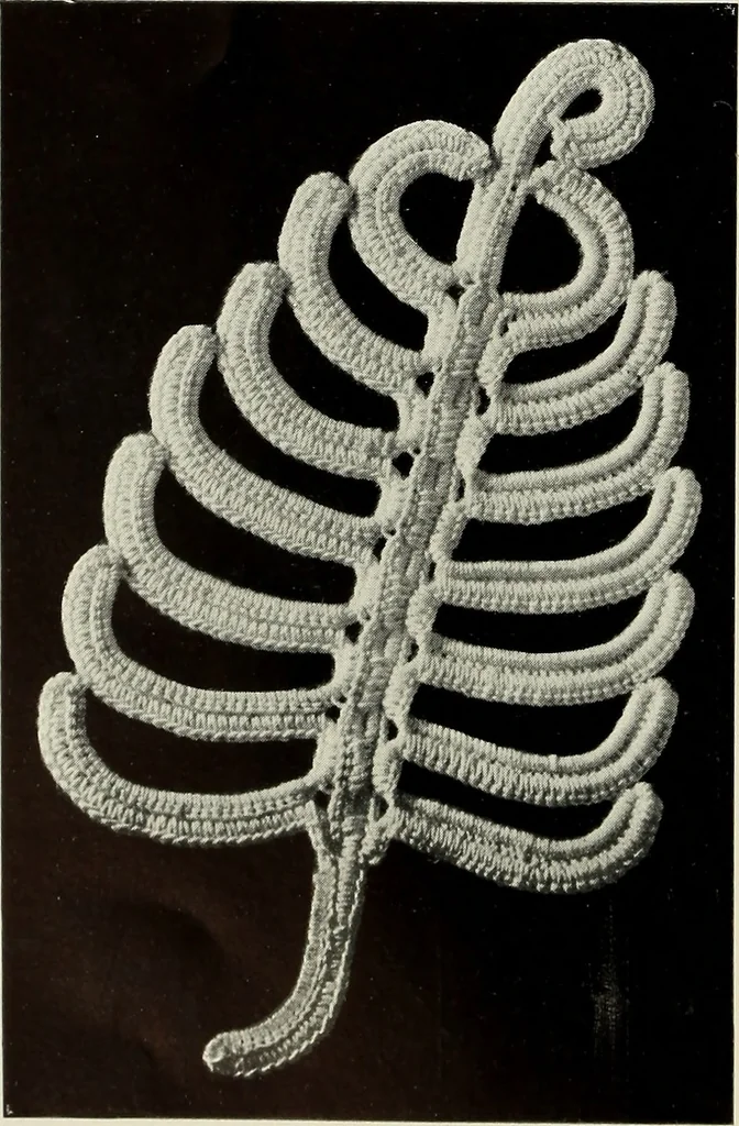 An illustration from Album de guipure d'Irlande, 1900, leaf 65