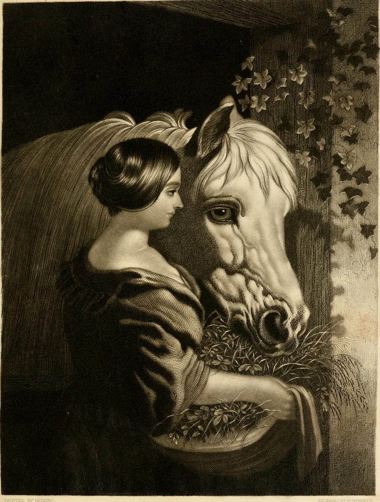 An illustration from Album of engravings, 1877, leaf 12