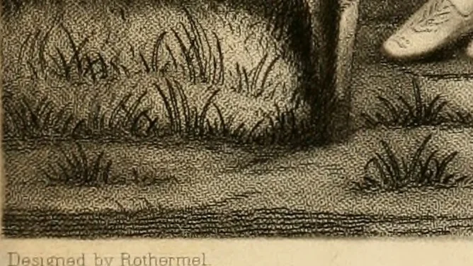 An illustration from Album of engravings, 1877, leaf 14