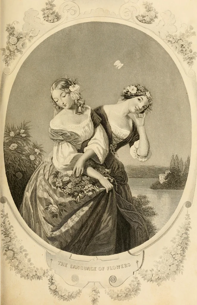 An illustration from Album of engravings, 1877, leaf 8