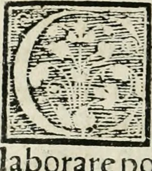 An illustration from Alchemiae Gebri Arabis philosophi solertissimi libri, cum reliquis, ut versa pagella indicabit, 1545, leaf 241