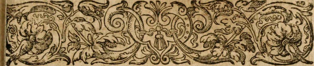 An illustration from Alchimia nova, das ist, Die güldene Kunst selbst, oder, Aller Künsten Mutter : sampt dero heimlichen Secreten, vnzehlichen verborgenen Kindern vnd Früchten ..., 1603, leaf 308