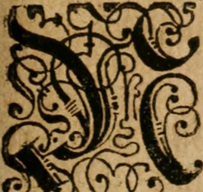 An illustration from Alchimia nova, das ist, Die güldene Kunst selbst, oder, Aller Künsten Mutter : sampt dero heimlichen Secreten, vnzehlichen verborgenen Kindern vnd Früchten ..., 1603, leaf 436