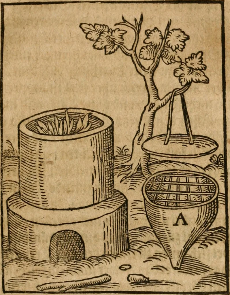 An illustration from Alchimia nova, das ist, Die güldene Kunst selbst, oder, Aller Künsten Mutter : sampt dero heimlichen Secreten, vnzehlichen verborgenen Kindern vnd Früchten ..., 1603, leaf 62