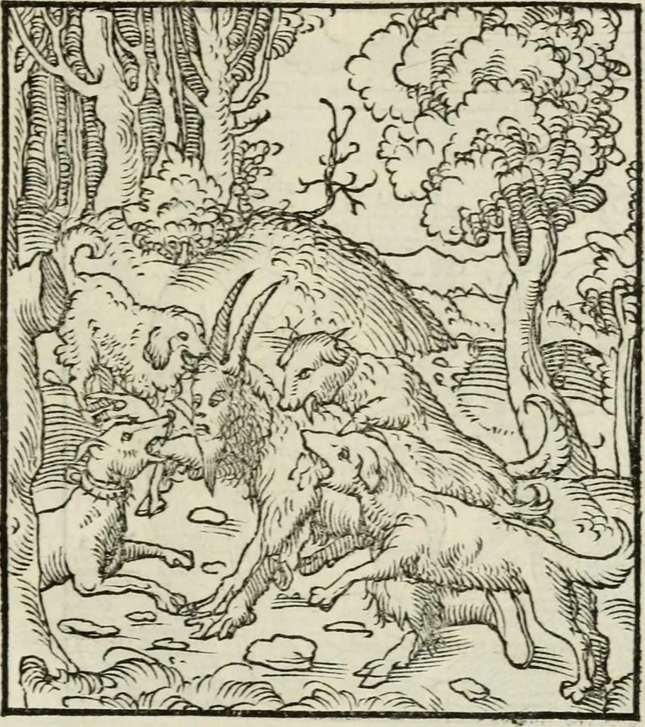 An illustration from Andreae Alciati emblematvm libellvs, 1534, leaf 102