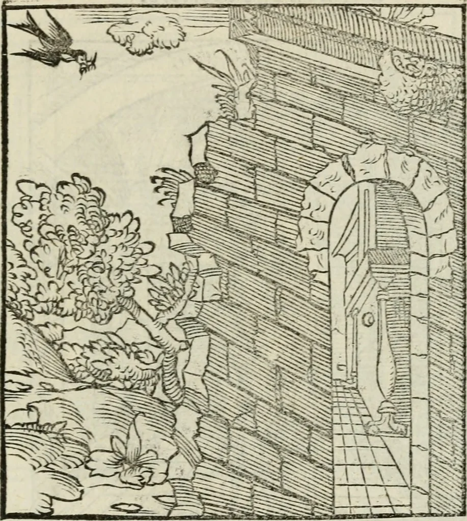An illustration from Andreae Alciati emblematvm libellvs, 1534, leaf 108
