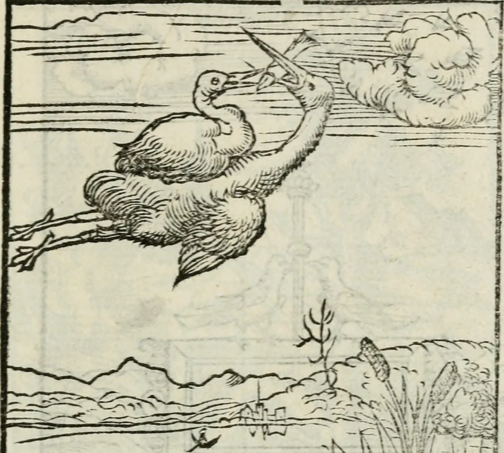 An illustration from Andreae Alciati emblematvm libellvs, 1534, leaf 12