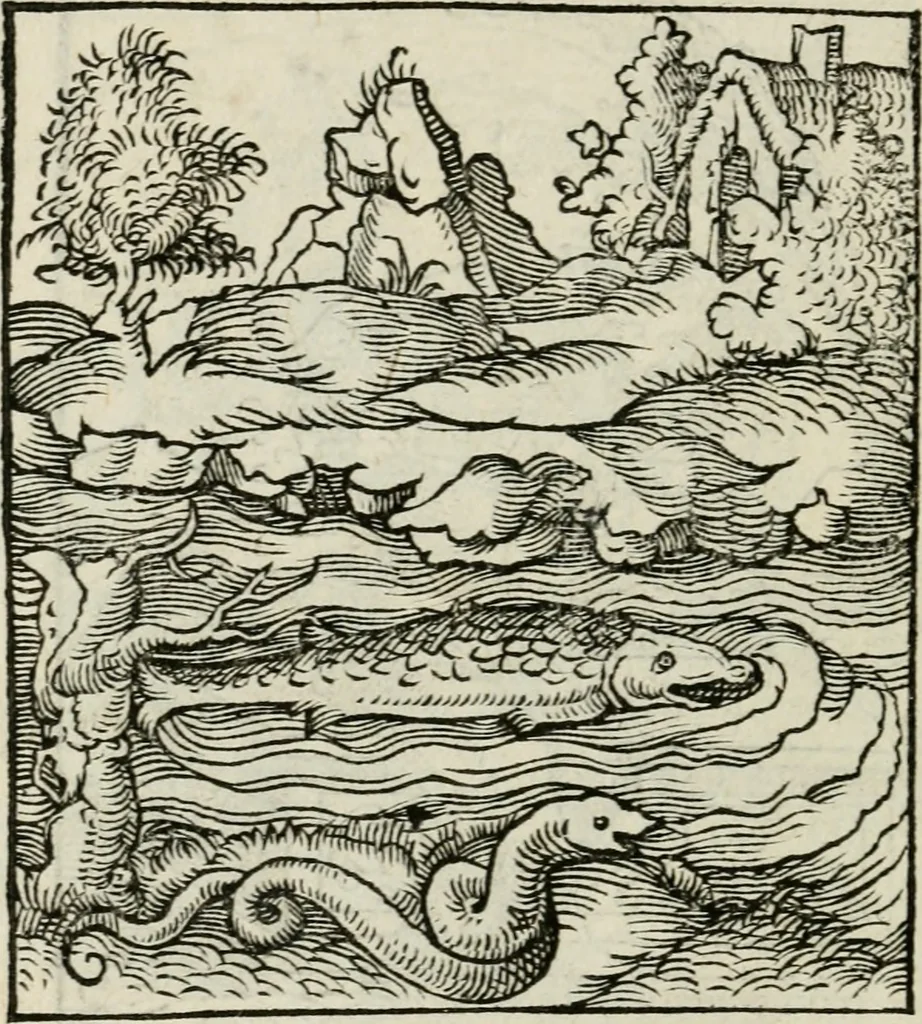 An illustration from Andreae Alciati emblematvm libellvs, 1534, leaf 17