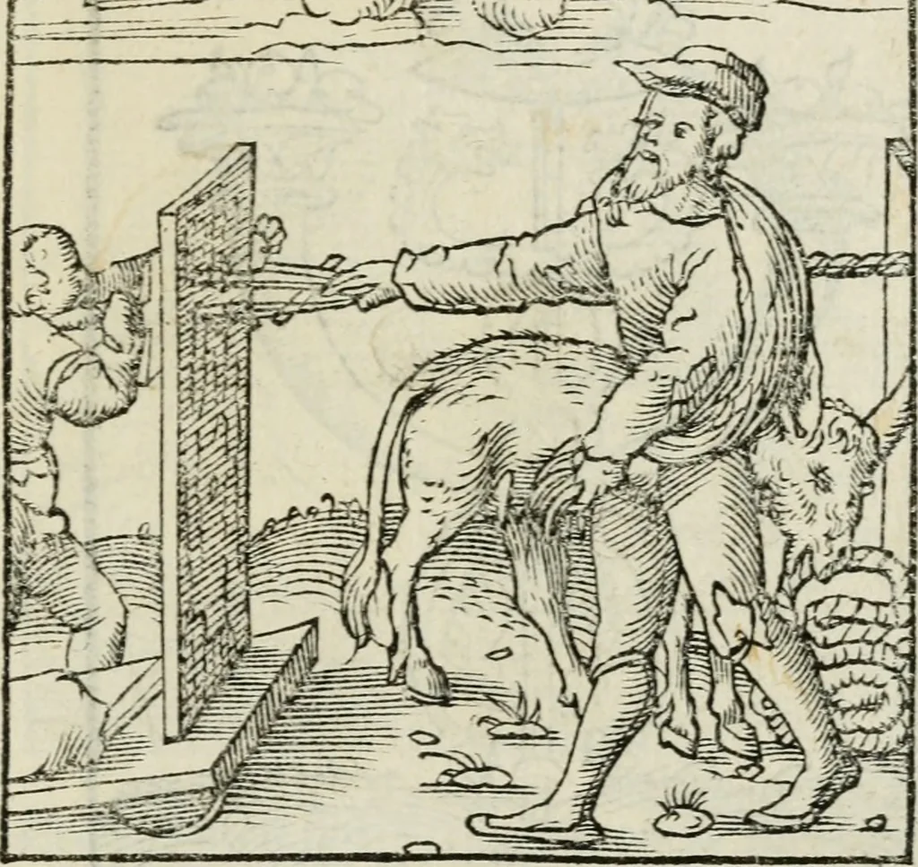 An illustration from Andreae Alciati emblematvm libellvs, 1534, leaf 24