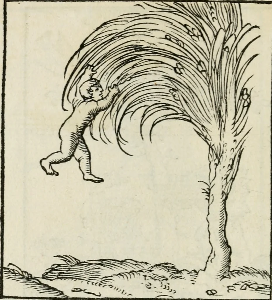 An illustration from Andreae Alciati emblematvm libellvs, 1534, leaf 31