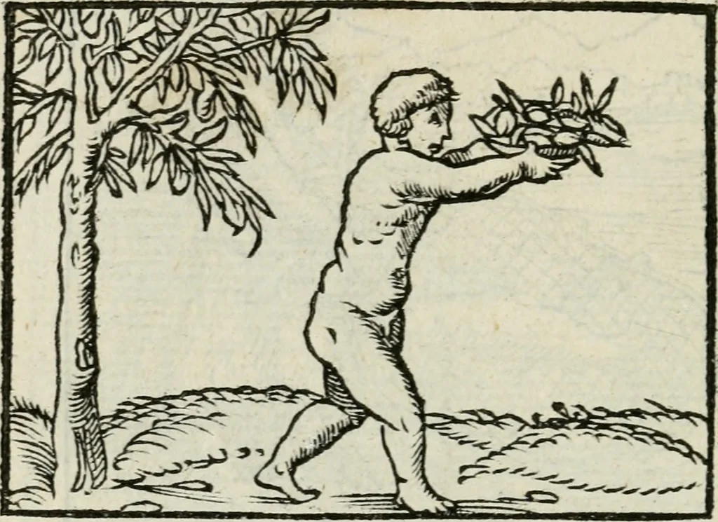 An illustration from Andreae Alciati emblematvm libellvs, 1534, leaf 37