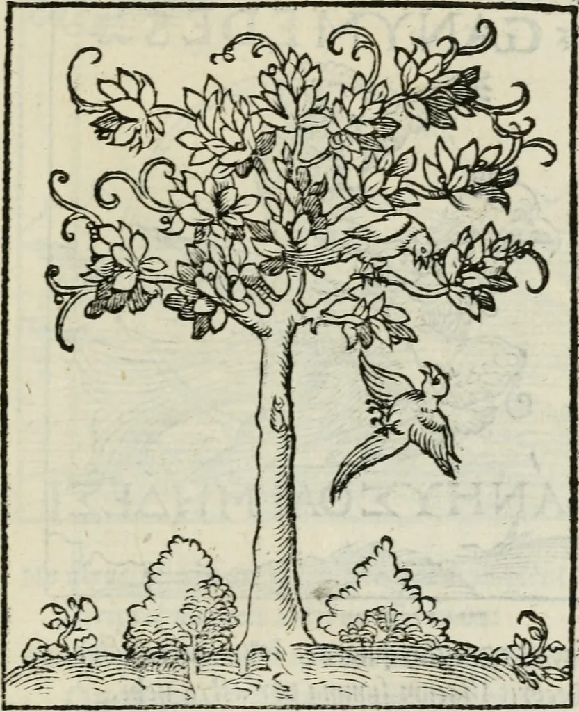An illustration from Andreae Alciati emblematvm libellvs, 1534, leaf 38