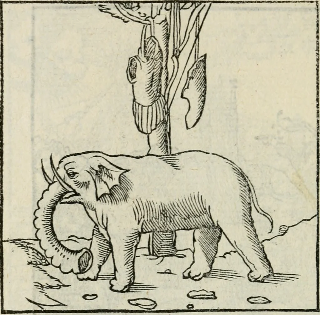 An illustration from Andreae Alciati emblematvm libellvs, 1534, leaf 43
