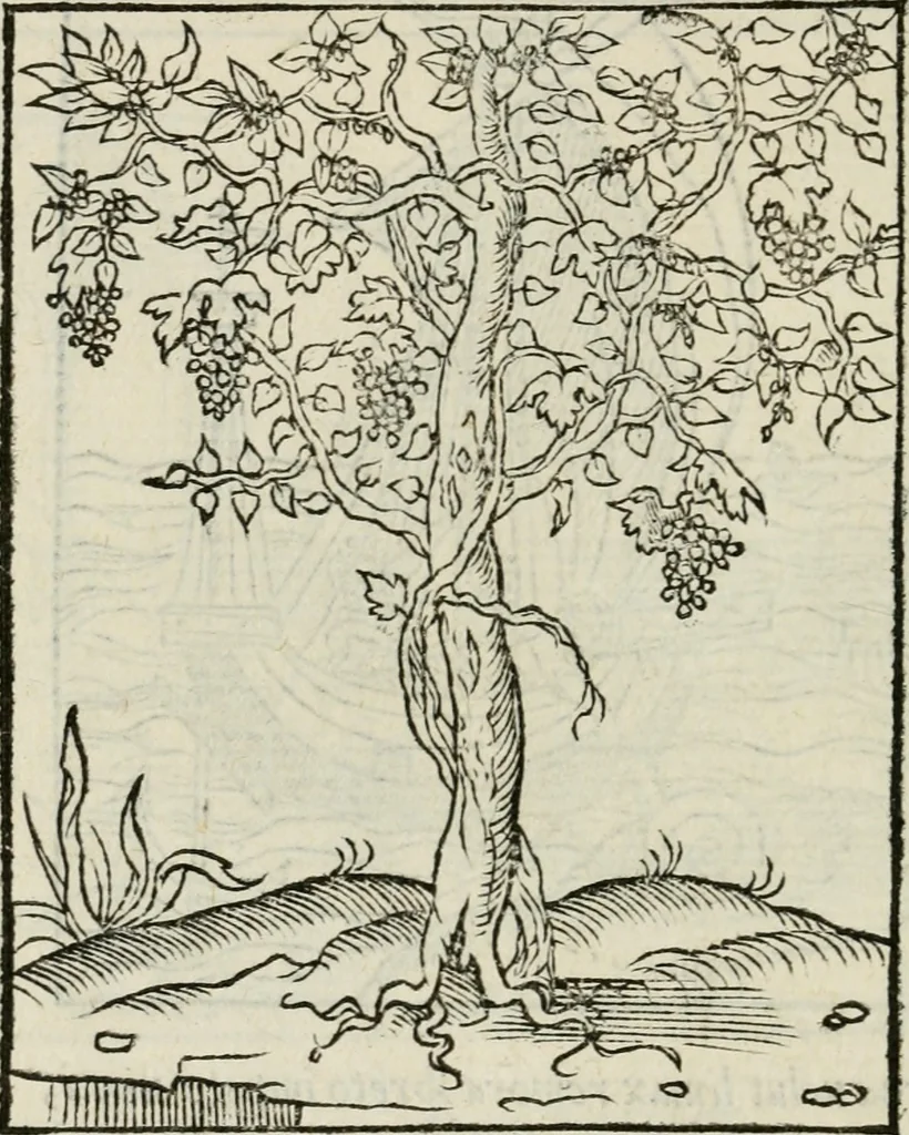 An illustration from Andreae Alciati emblematvm libellvs, 1534, leaf 57