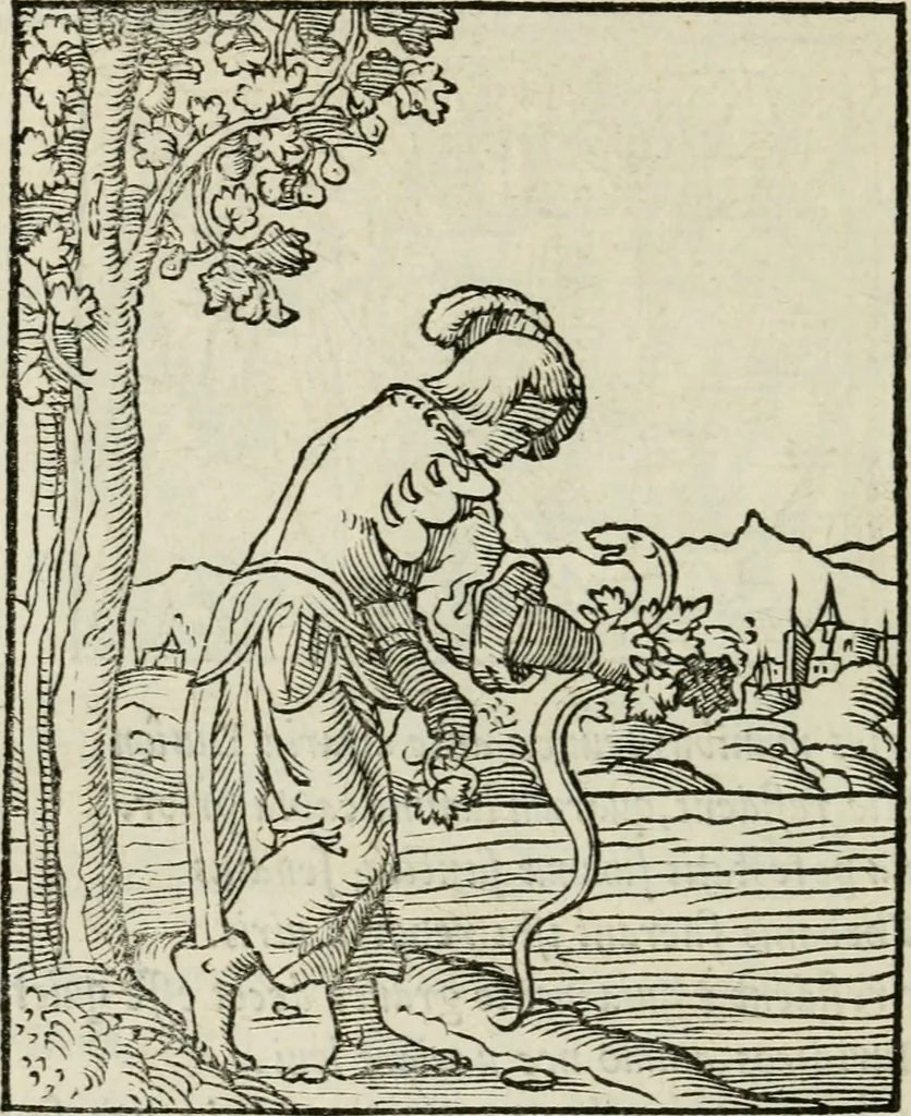 An illustration from Andreae Alciati emblematvm libellvs, 1534, leaf 67