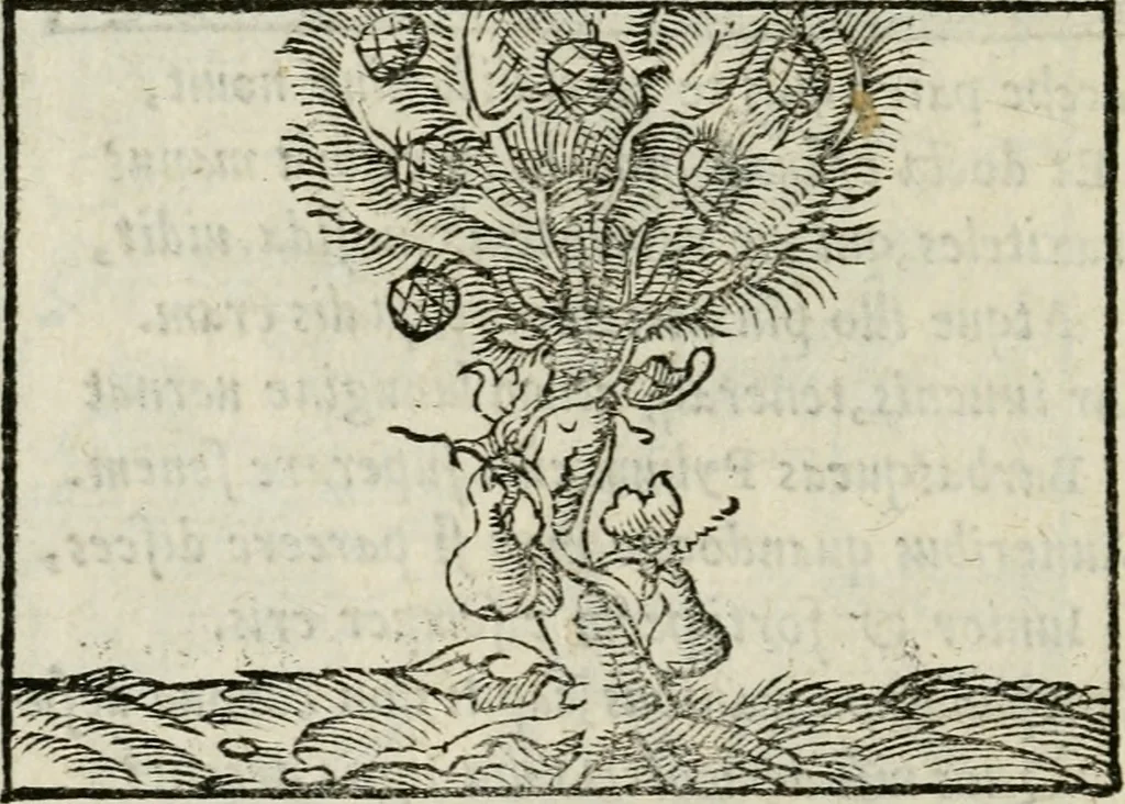 An illustration from Andreae Alciati emblematvm libellvs, 1534, leaf 75