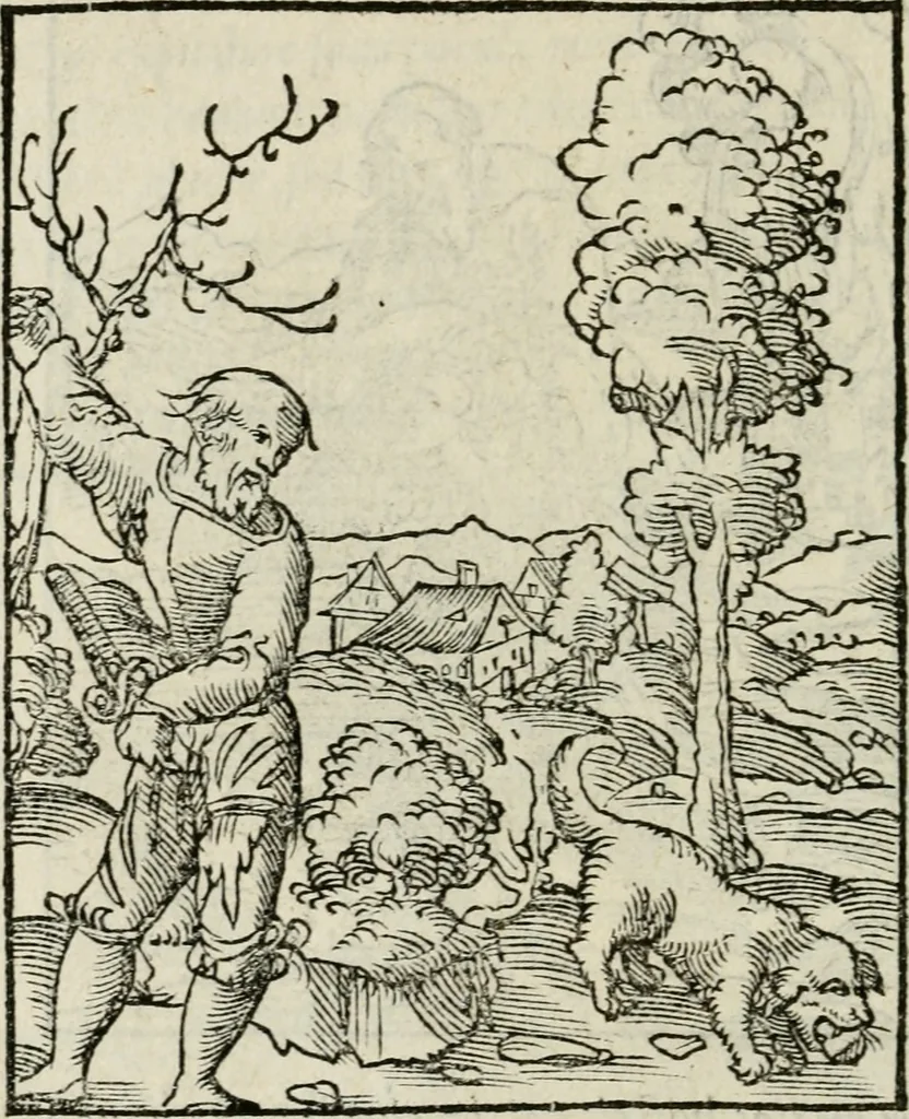 An illustration from Andreae Alciati emblematvm libellvs, 1534, leaf 77