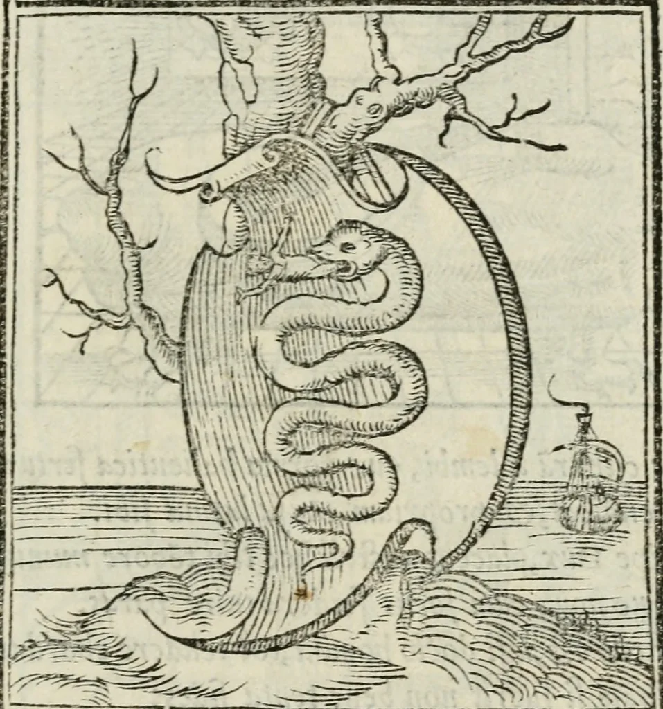 An illustration from Andreae Alciati emblematvm libellvs, 1534, leaf 8