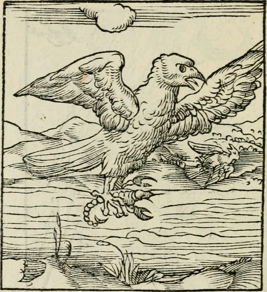 An illustration from Andreae Alciati emblematvm libellvs, 1534, leaf 81