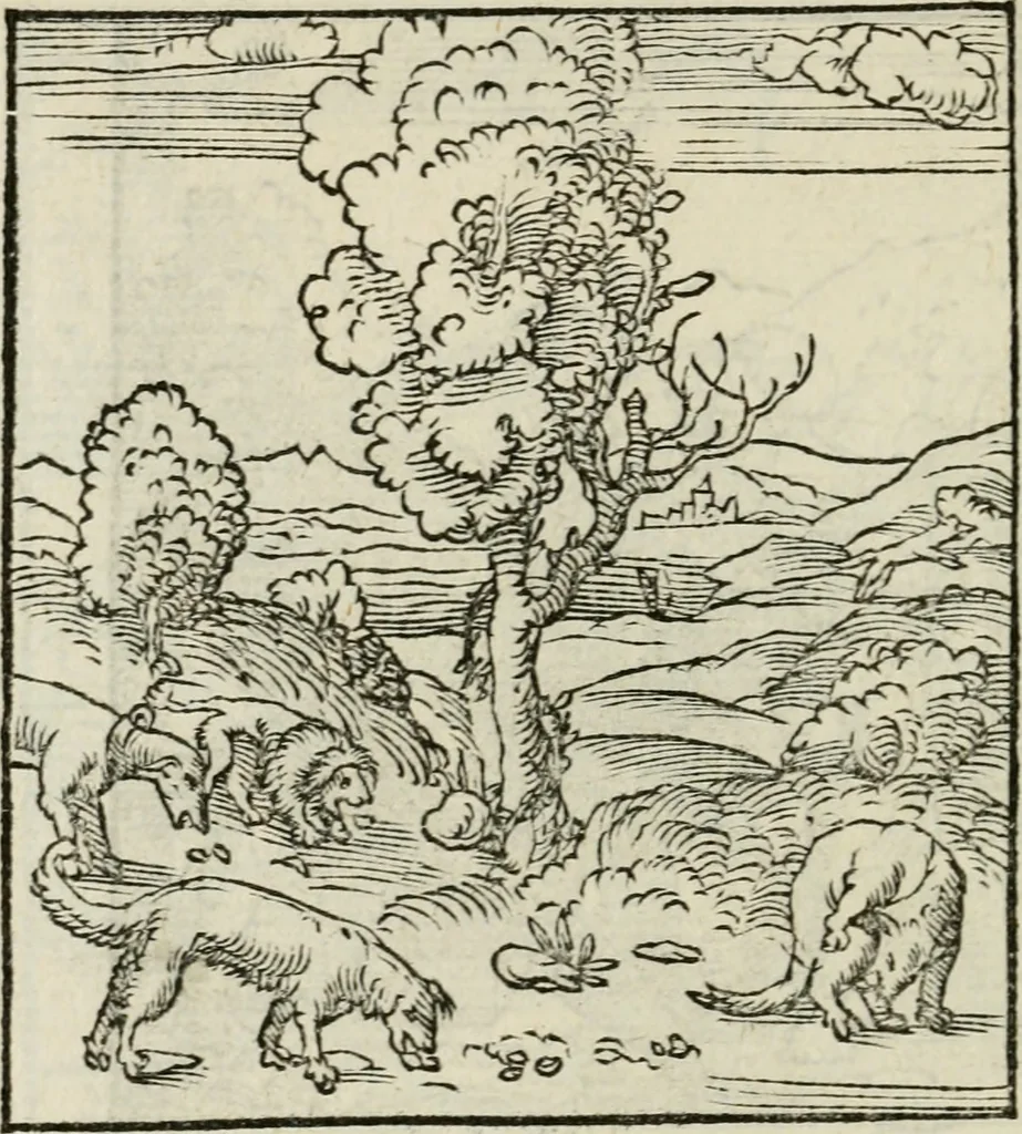 An illustration from Andreae Alciati emblematvm libellvs, 1534, leaf 93