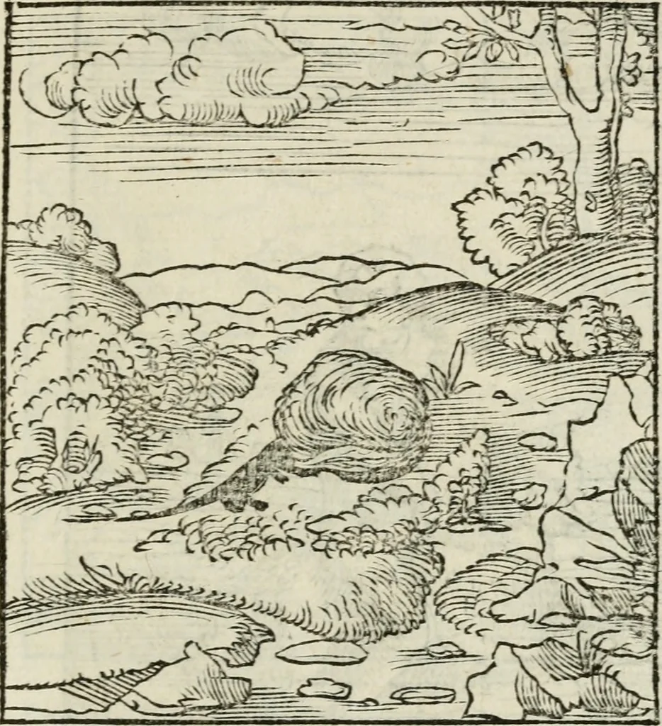 An illustration from Andreae Alciati emblematvm libellvs, 1534, leaf 94