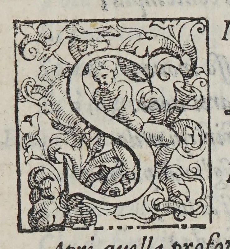 An illustration from Alcune compositioni volgari et latine, nelle quali chiedendo aiuto dalla diuina pietà, si ricordano le misere conditioni della mortal pestilenza, successa in Vinegia l'anno M. D. LXXXVI, 1576, leaf 11