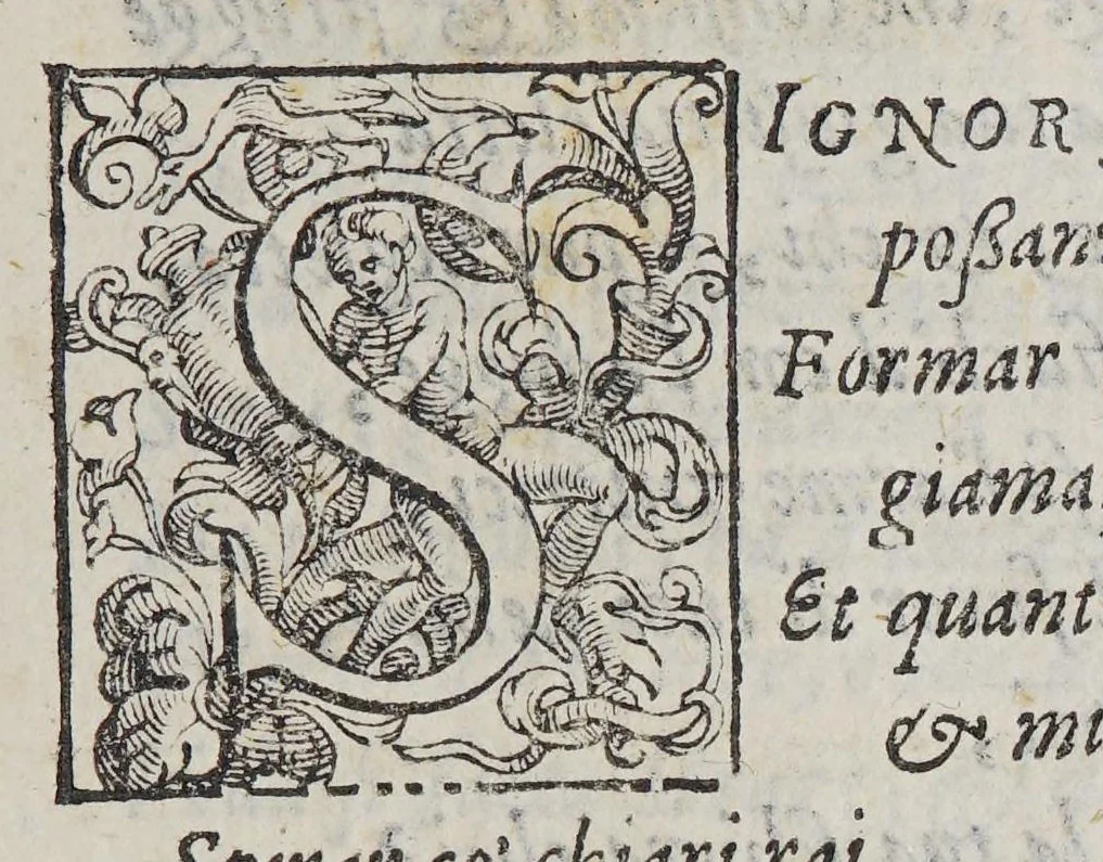 An illustration from Alcune compositioni volgari et latine, nelle quali chiedendo aiuto dalla diuina pietà, si ricordano le misere conditioni della mortal pestilenza, successa in Vinegia l'anno M. D. LXXXVI, 1576, leaf 15